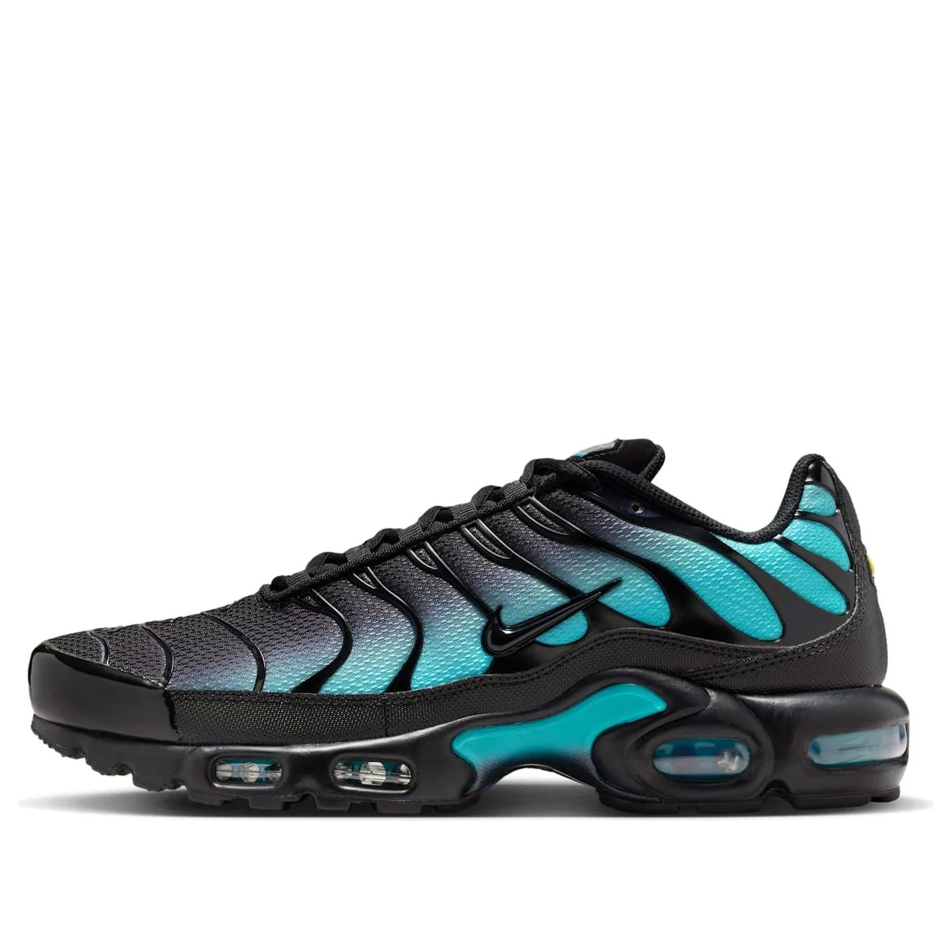 Nike Air Max Plus 'Black Dusty Cactus'