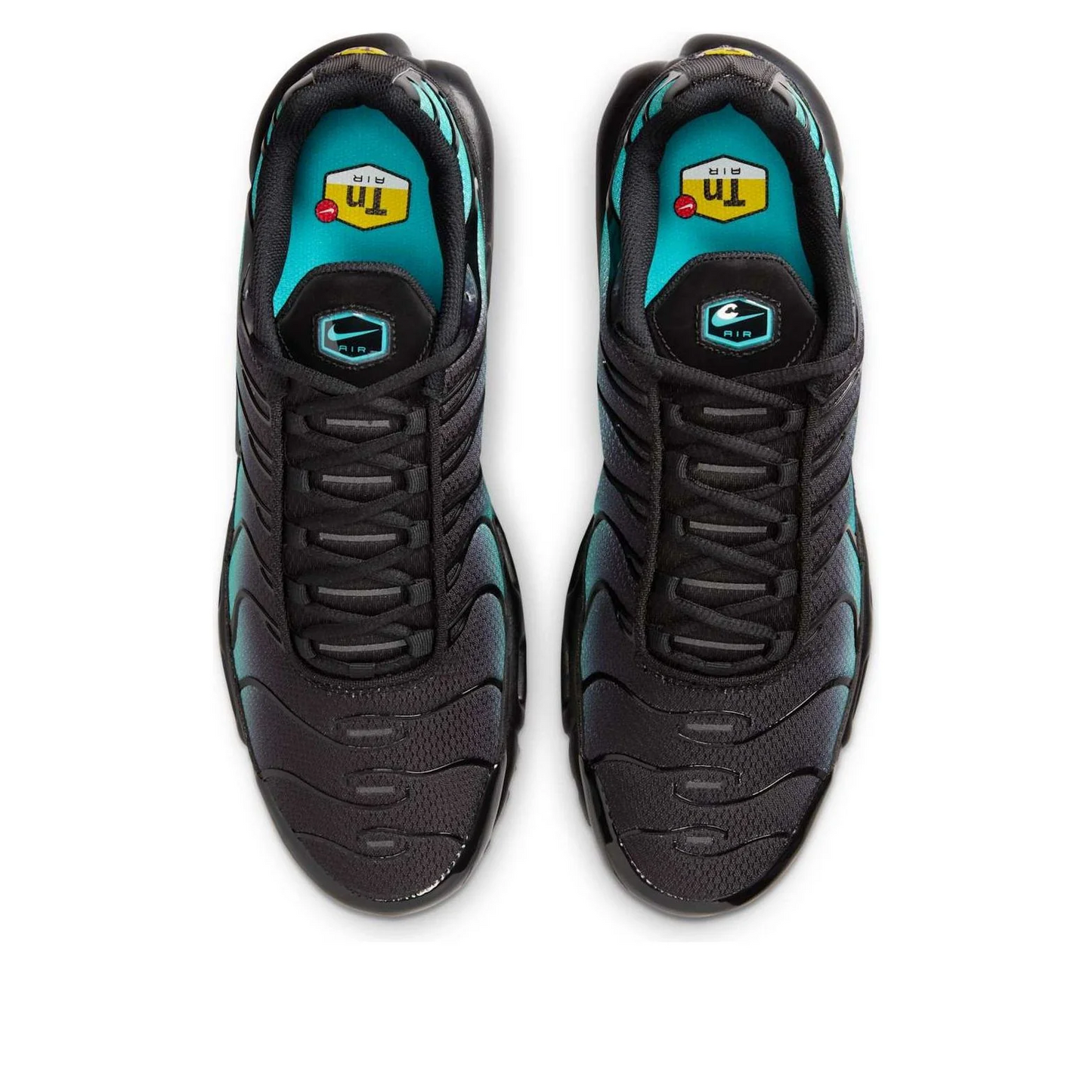 Nike Air Max Plus 'Black Dusty Cactus'