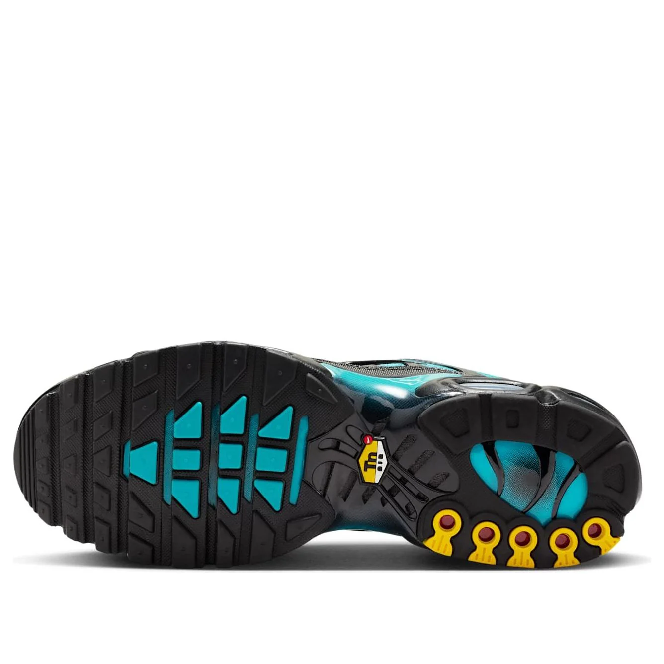 Nike Air Max Plus 'Black Dusty Cactus'