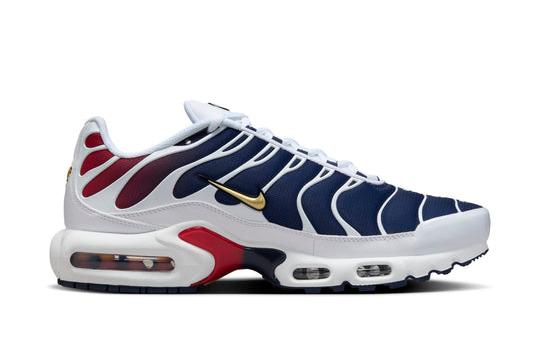 Nike Air Max Plus 'PSG'