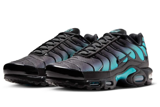 Nike Air Max Plus 'Black Dusty Cactus'
